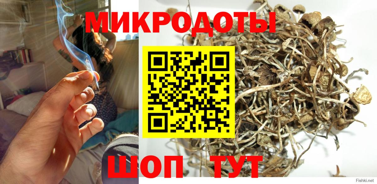 Псилоцибиновые грибы ЛСД  Галлюциногенные грибы мицелий  Лобня  Вход с VPN 